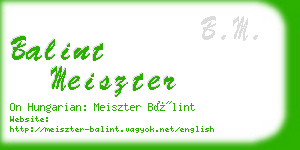 balint meiszter business card